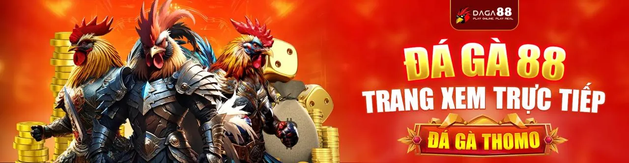 Trường gà sống động với các chiến kê đang thi đấu tại UCW88 trang chủ chính thức