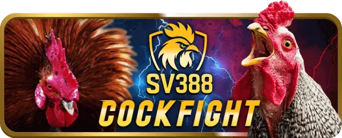 Dịch vụ hỗ trợ VIP 24/7